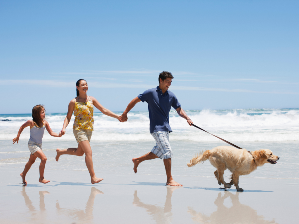 Two Paws up for the Best DogFriendly Guide to Emerald Isle Spinnaker