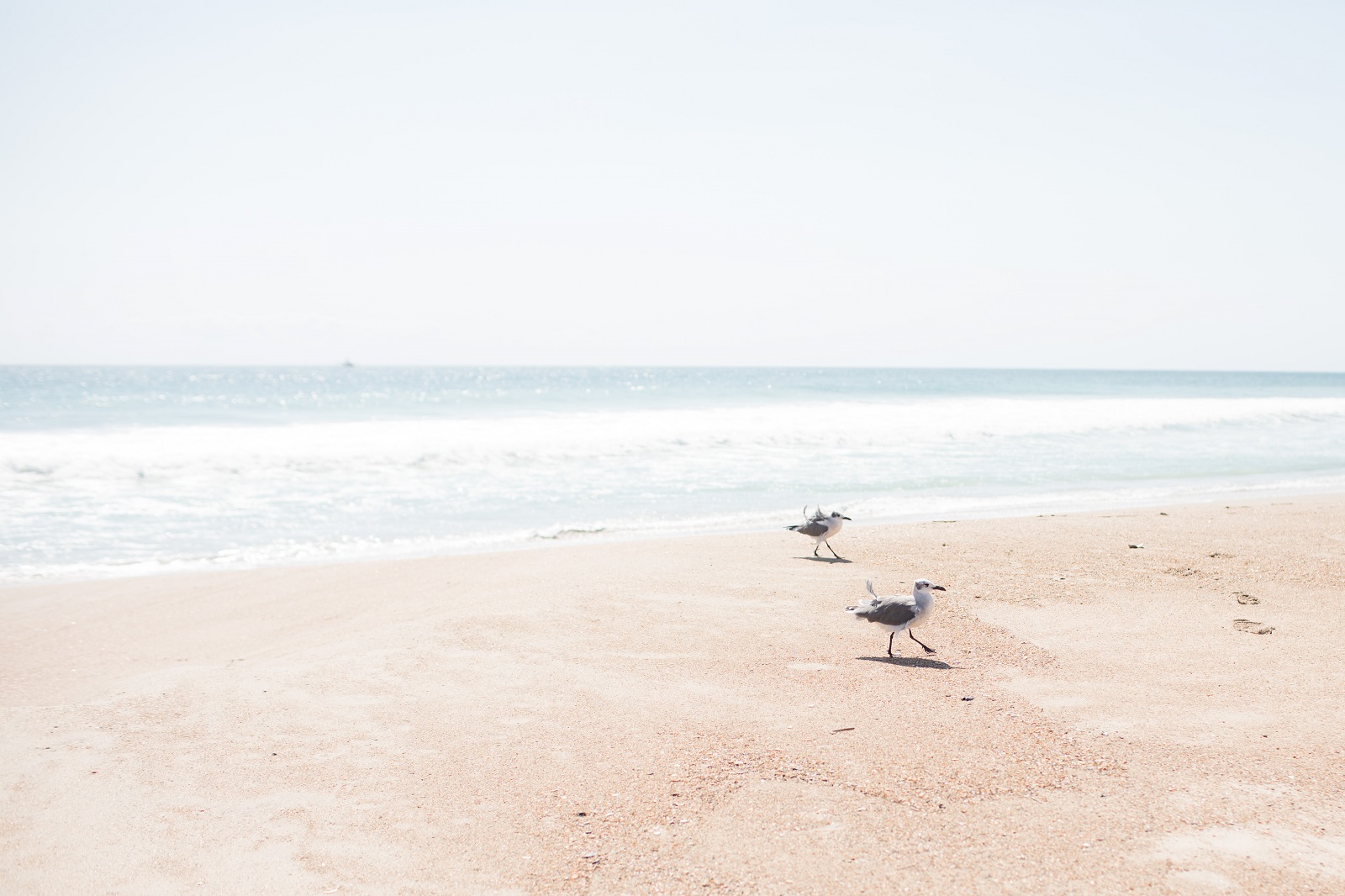 This Is One of the Best North Carolina Beaches in Winter Spinnaker's Reach Realty
