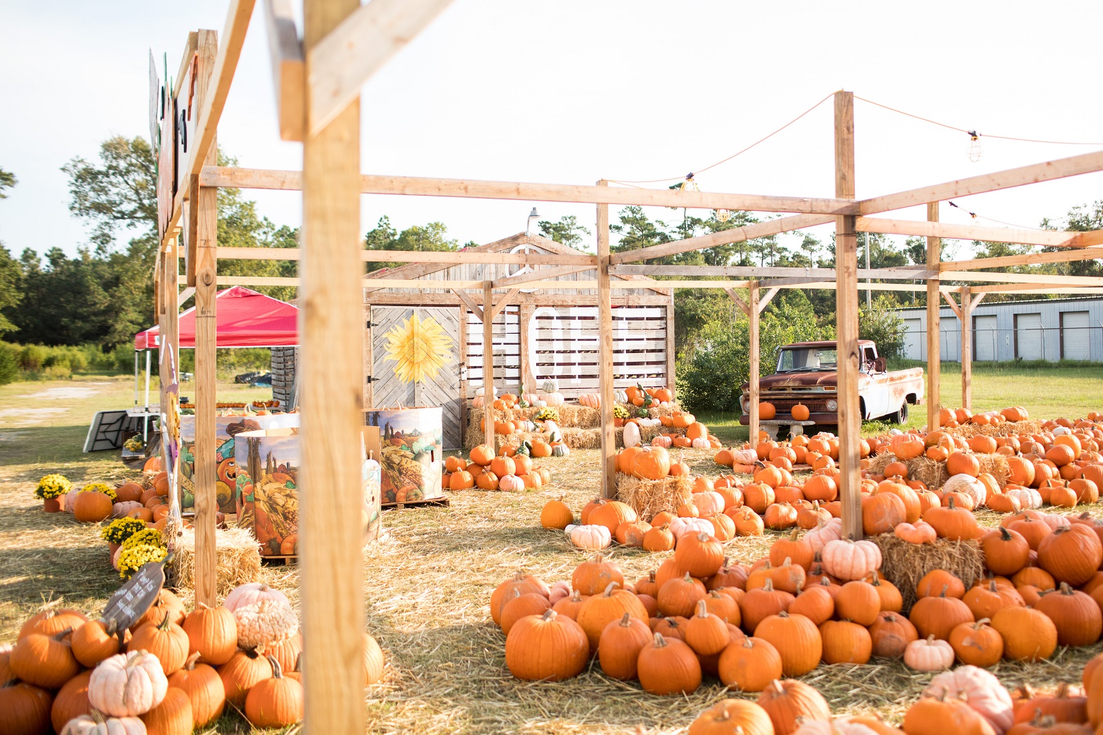 Why You Need to Experience Fall on Emerald Isle